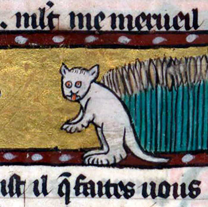 گربه‌ی عجیب و خاص تصویرسازی قرون وسطی
